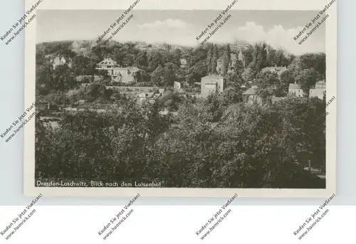 0-8000 DRESDEN - LOSCHWITZ, Blick auf den Louisenhof, 1954