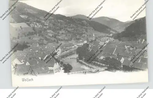 7620 WOLFACH, Gesamtansicht