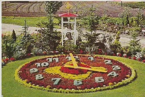 BLUMENUHR / Flower Clock / Horloge Fleurie / Bloem Klok / Reloj de Flores / Fiore Orologio -  ELMSHORN, Hortsmann's