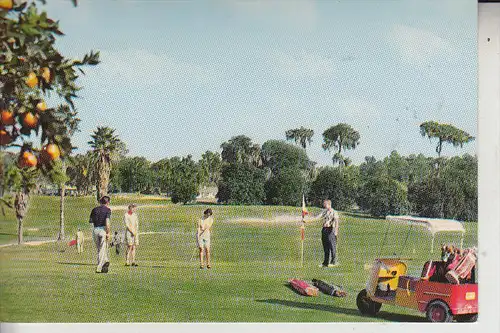 SPORT - GOLF, Golfing in Florida