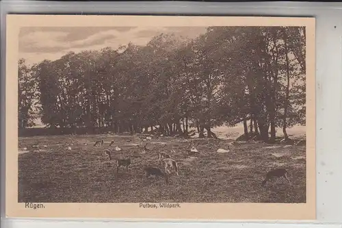 0-2353 PUTBUS / Rügen, Wildpark