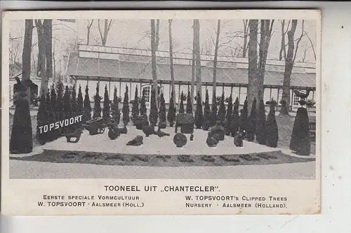 NL - NOORD-HOLLAND - AALSMEER,.Topsvoort, Boomen