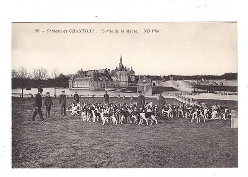 JAGD / Hunting / Jacht / Caccia / Chase / Caza / Lowiectwo, Hundemeute, Schloß Chantilly