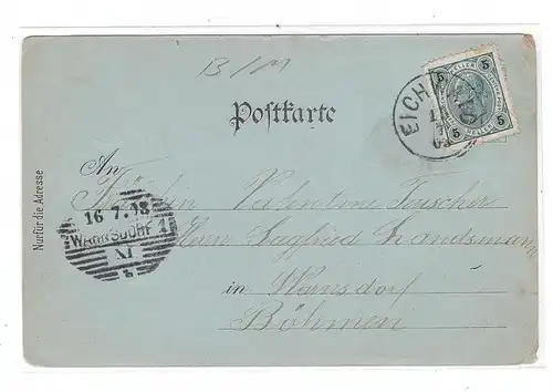 BÖHMEN & MÄHREN - EICHWALD / DUBI, Lithographie 1898, Hotel Waldesruh, Villa Fügner, Ortsansicht, kl. Eckmangel