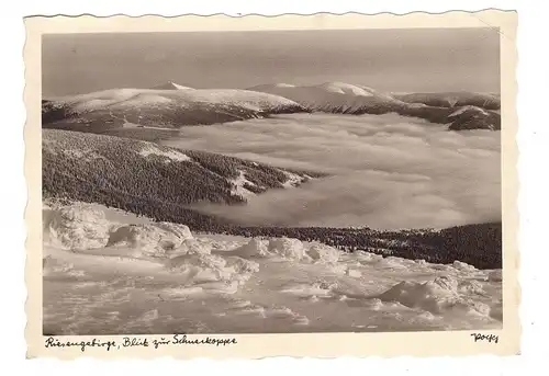 NIEDER-SCHLESIEN - SCHNEEKOPPE / SNEZKA, Blick zur Schneekoppe