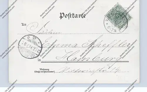 0-5812 WALTERSHAUSEN, Lithographie 1899, Schloss, Kirche, Gesamtansicht