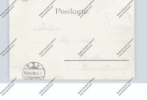 0-5000 ERFURT - VIESELBACH, Lithographie, Gasthof zum Burghof, Villa Deinhardt, Amtsgericht, Kriegerdenkmal...