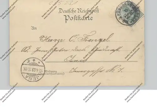 0-5234 KÖLLEDA - GROSSNEUHAUSEN, Lithographie, Geschäftshaus Eichhorn, Weimar'scher Hof, Schloss, Gesamtansicht