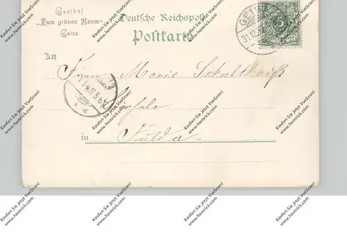 0-6222 GEISA, Lithographie 1897, Rathaus, Rechnungsamt, Amtsgericht, Gesamtansicht