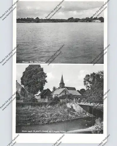 4441 SPELLE - PLANTLÜNNE, Dorfansicht, Blauer See