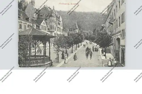 7740 TRIBERG, Kurplatz, 1913