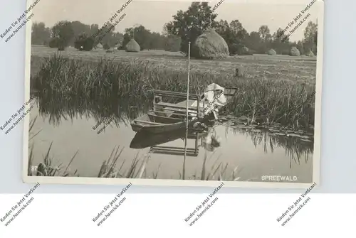 0-7543 LÜBBENAU, Spreewald