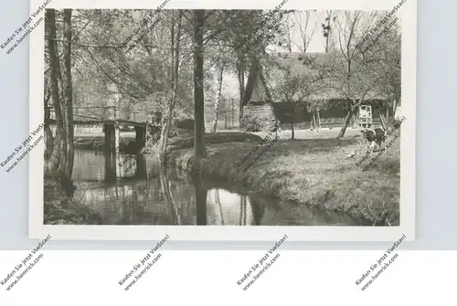 0-7543 LÜBBENAU, Stiller Winkel im Spreewald