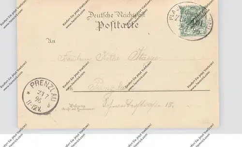 0-6303 BAD ELGERSBURG, Lithographie 1896, Bahnhof / Hotel Victoria, Kurhaus, Elgersburg...