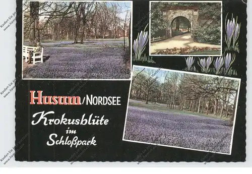 2250 HUSUM, Krokusblüte im Schloßpark