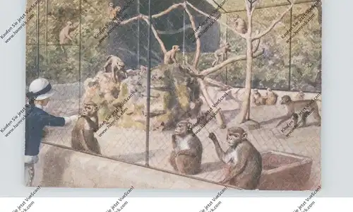 ZOO - LONDON, Monkey House