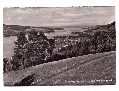 CH 8265 MAMMERN TH, Blick von Klingenzell, 1953