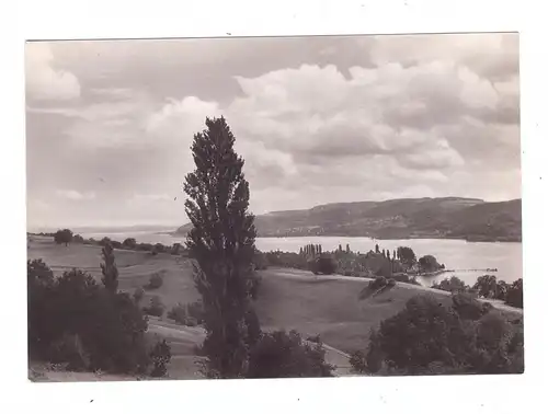 7763 ÖHNINGEN - WANGEN / Bodensee, Blick auf den See und Höri