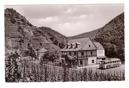 5483 BAD NEUENAHR - AHRWEILER - WALPORZHEIM, Bauernschenke, Omnibus, 1958