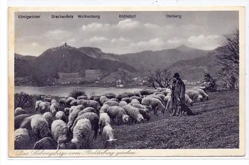 5480 REMAGEN - ROLANDSWERTH, Rodderberg, Schafhirte mit Herde, 1937