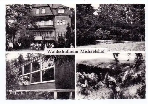 5230 ALTENKIRCHEN - BIRNBACH, Waldschulheim Michaelshof