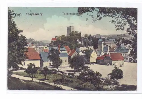 6200 WIESBADEN - SONNENBERG, Panorama, 1910