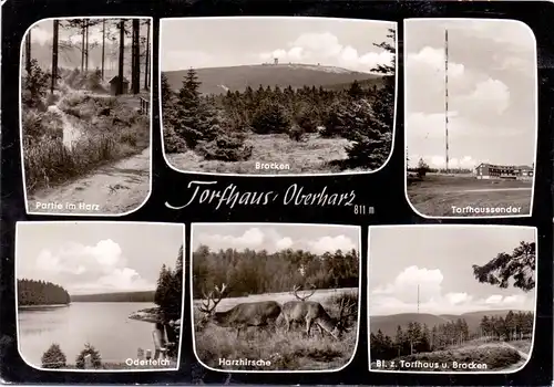 3396 ALTENAU - TORFHAUS, Mehrbild