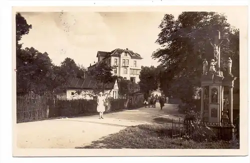 CSR 54931 HRONOV - MALA CERMNA, Hotel "Bohemia", 1939