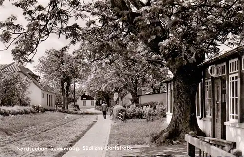 2941 SPIEKEROOG, Südliche Dorfstrasse, 1960