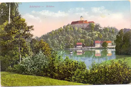 0-9514 LICHTENTANNE - SCHÖNFELS, Schloss, 1920