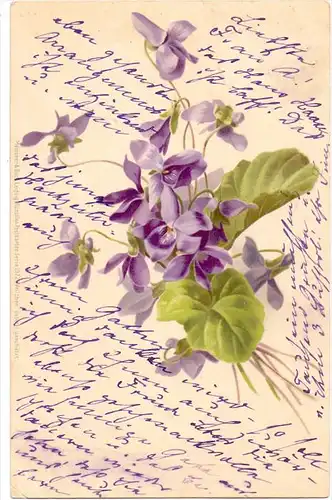 FLORA - Blumen, Künstler-Karte Meißner & Buch, 1903, kl. Knick, C. Klein ?