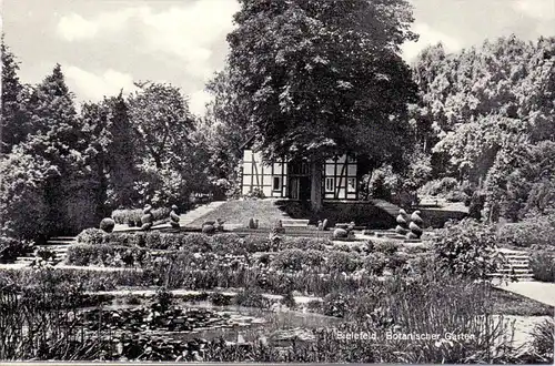 4800 BIELEFELD, Botanischer Garten, 1956