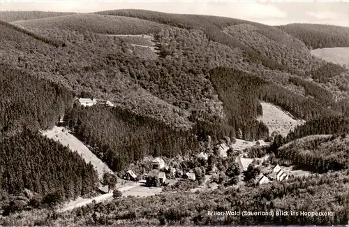 5790 BRILON - WALD, Blick ins Hoppecketal