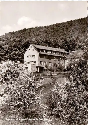 4938 SCHIEDER - SCHWALENBERG - GLASHÜTTE, Fremdenheim "Waldfrieden"