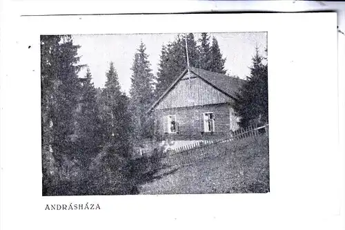 ROMANIA / RUMÄNIEN - ANDRASHAZA, Hütte