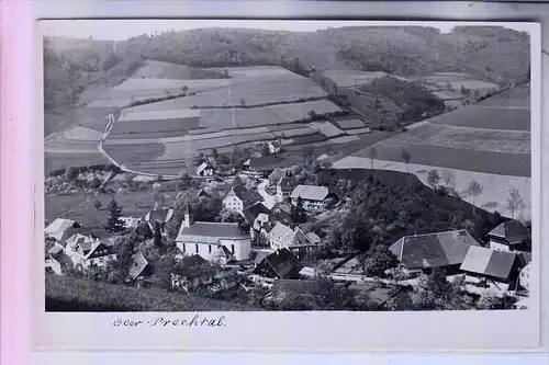 7809 ELZACH - OBERPRECHTAL, Panorama