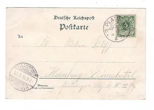 0-5216 PLAUE, Lithographie 1899, Bahnhof, Reinsberge, Ruine Ehrenburg & Capellkirche