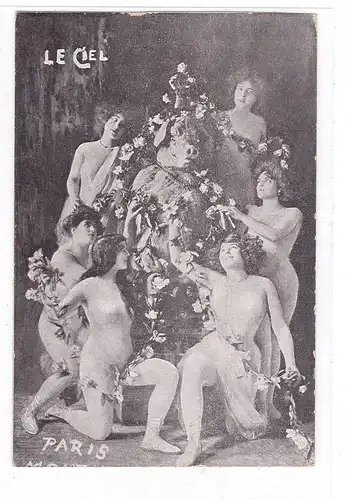 TIERE - SCHWEINE / Pigs / Porcs / Varkens / Maiali / Cerdos, "LA CIEL", Erotic