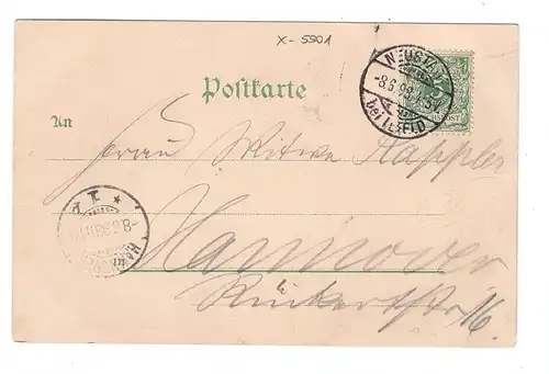 0-5505 HARZTOR - NEUSTADT unterm Hohnstein, Lithographie 1898, Pöppenberg Turm, Bade-Anstalt, Burgruine...