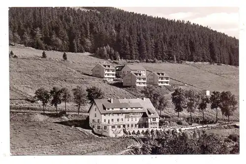 3542 WILLINGEN - SCHWALEFELD, Berghaus Püttmann