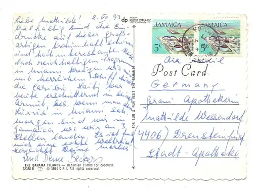 JAMAICA - Climbing for Coconuts