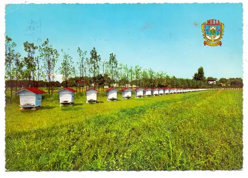 TIERE - BIENEN/HONIG - Bees/Honey -Abeilles/Miel - Bijen/Honing - Abejas/Miel, Zuchtbienenkörbe, De Panne Belgien