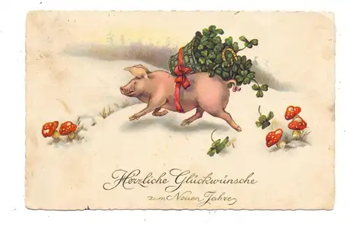SCHWEINE - Pigs / Porcs / Maiali / Varkens / Cerdos - Glücksschwein mit Kleeblättern und Glückspilzen, 1925