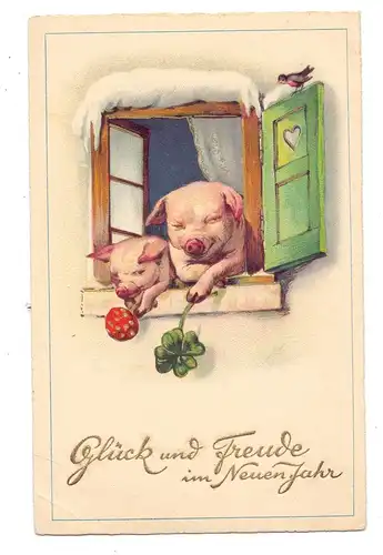 SCHWEINE - Pigs / Porcs / Maiali / Varkens / Cerdos - Zwei Schweine aus dem Fenster lehnend mit Glückspilz und Kleeblatt