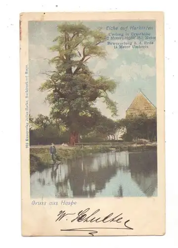5800 HAGEN - HASPE, Gut Harkorten, Alte Eiche, 1901