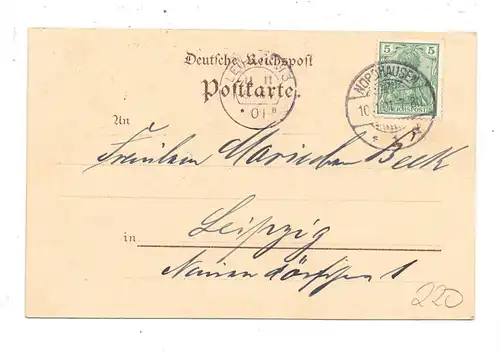 0-5500 NORDHAUSEN, Martinsfest, 1901, Gänse / Geese / Oies / Oche / Ganzen / Gansos