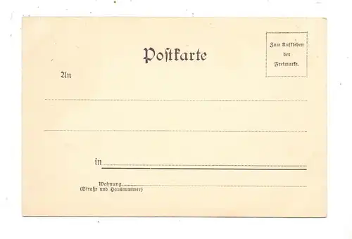8510 FÜRTH, Alte Veste, Aussichtsturm, 1898