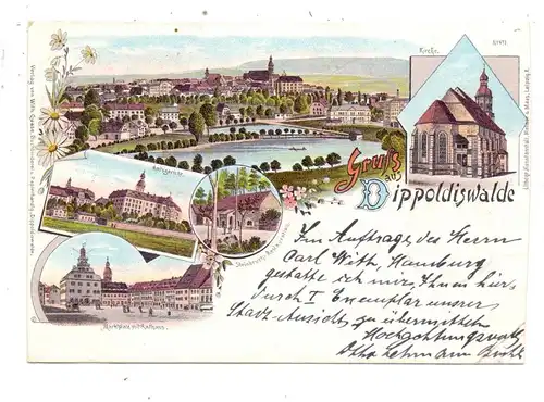 0-8230 DIPPOLDISWALDE, Lithographie 5-teilig, 1900, Rand beschnitten