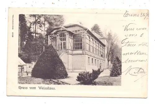 5500 TRIER, Villa Weisshaus, 1902