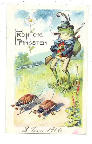 TIERE - FRÖSCHE / Frogs / Kicker / Grenouilles / Rane / Ranas - Frosch mit Maikäfer, geprägt / relief / embossed, 1906